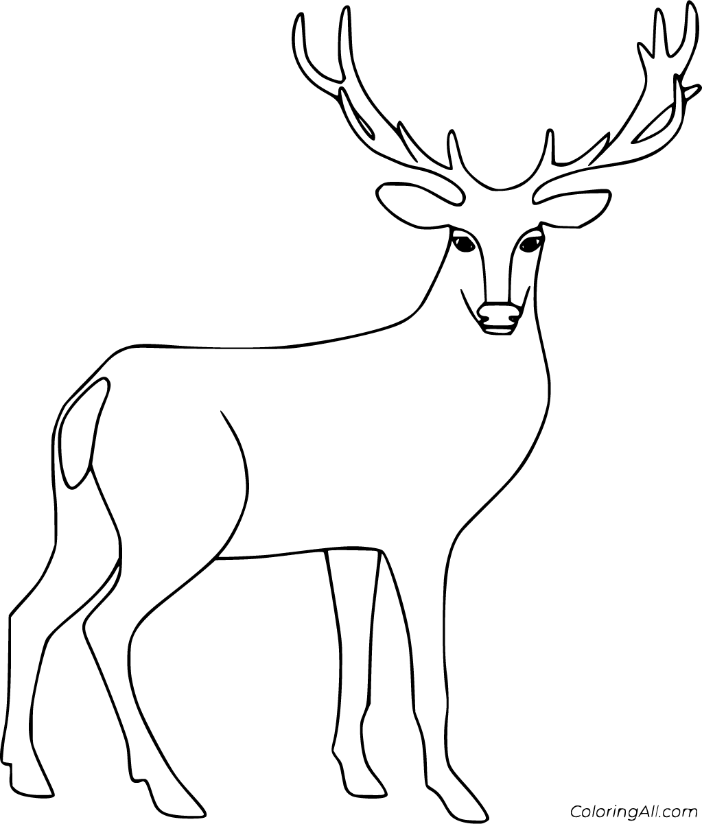 Red Deer Coloring Pages - ColoringAll