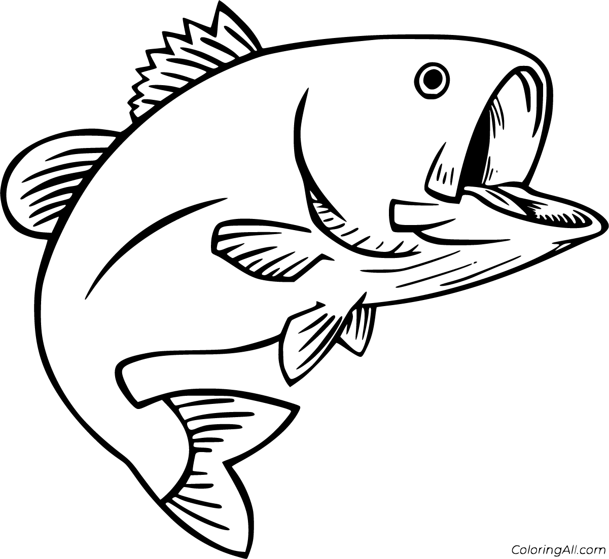 Bass Coloring Pages Coloringall